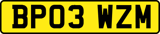 BP03WZM