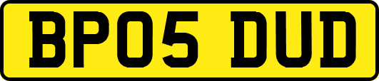 BP05DUD
