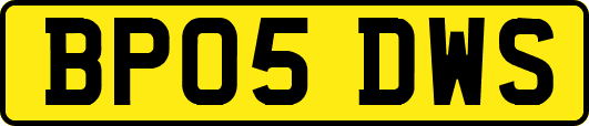 BP05DWS