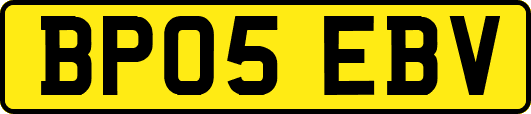 BP05EBV