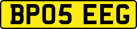 BP05EEG