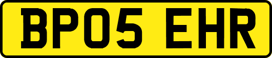 BP05EHR
