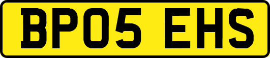 BP05EHS