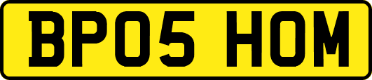 BP05HOM