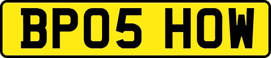BP05HOW