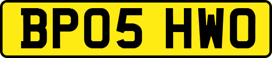 BP05HWO