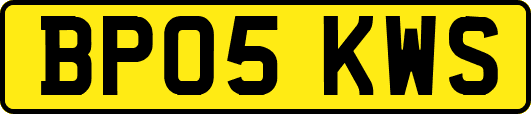 BP05KWS