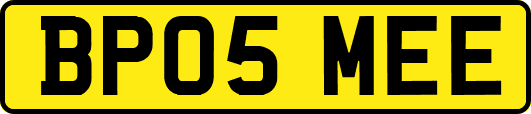 BP05MEE