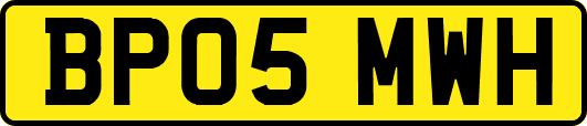 BP05MWH