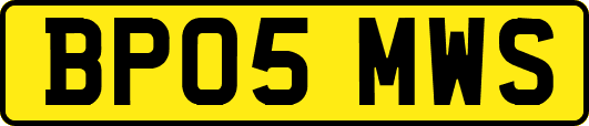BP05MWS