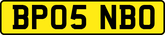 BP05NBO