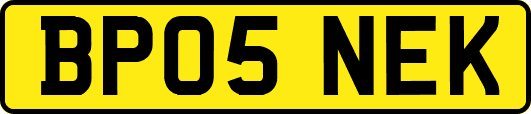 BP05NEK