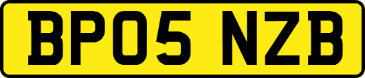 BP05NZB