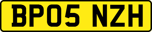 BP05NZH