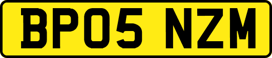 BP05NZM