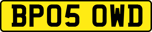 BP05OWD