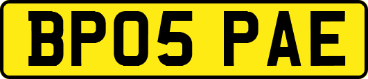 BP05PAE