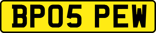 BP05PEW
