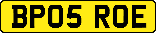 BP05ROE