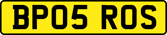 BP05ROS