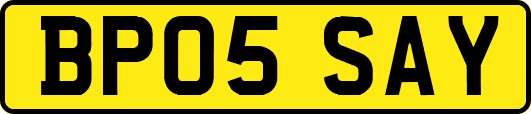 BP05SAY