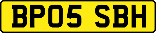 BP05SBH