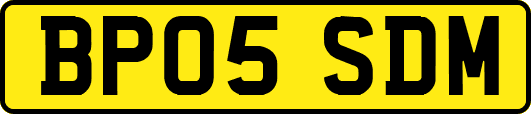 BP05SDM