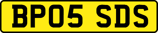 BP05SDS