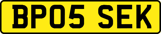 BP05SEK