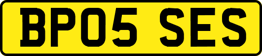 BP05SES