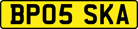 BP05SKA