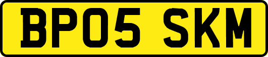 BP05SKM