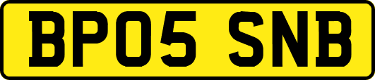 BP05SNB