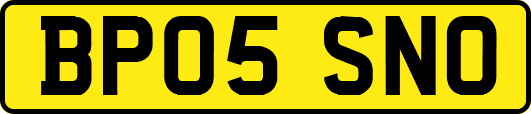 BP05SNO