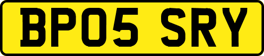 BP05SRY