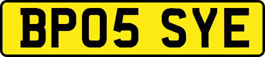 BP05SYE