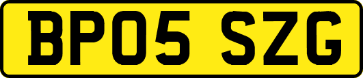 BP05SZG