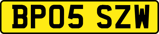 BP05SZW