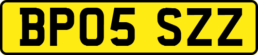 BP05SZZ