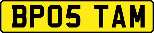 BP05TAM