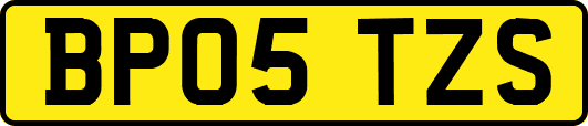 BP05TZS