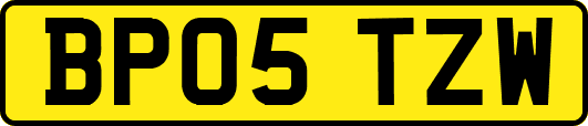 BP05TZW