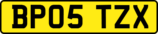 BP05TZX