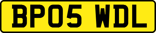 BP05WDL
