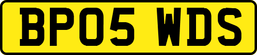 BP05WDS