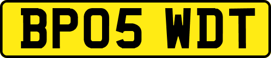 BP05WDT