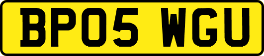 BP05WGU