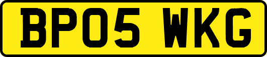 BP05WKG