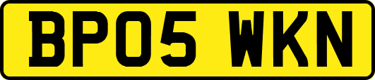 BP05WKN