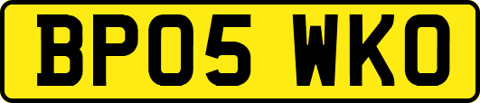 BP05WKO